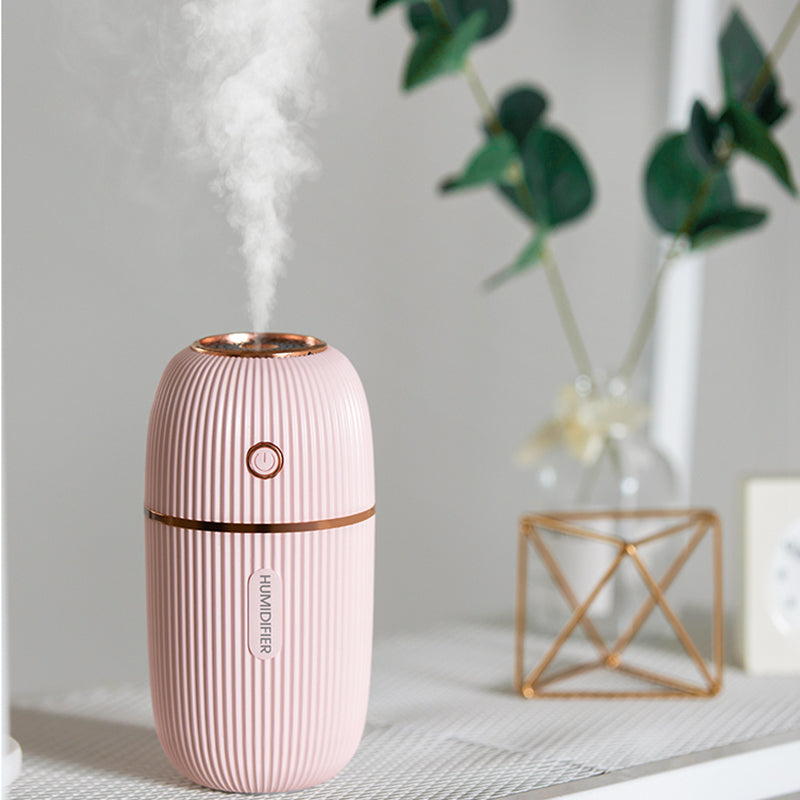 Portable Mini Humidifier