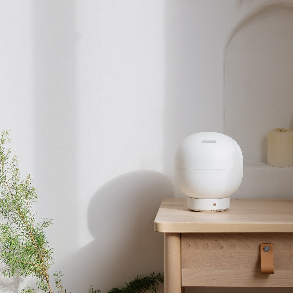 Indoor Household Humidifier