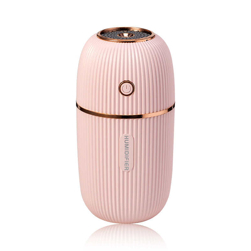 Portable Mini Humidifier